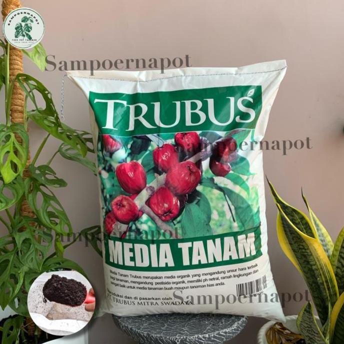 MEDIA TANAM ORGANIK TRUBUS KEMASAN PABRIK SIAP PAKAI UNTUK TANAMAN - MEDIA TANAM TRUBUS