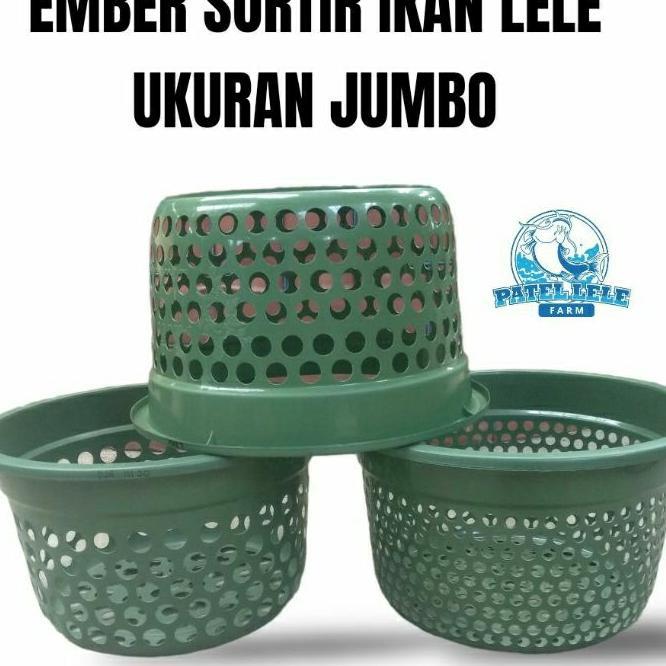 Ember  Sortir Lele Konsumsi Ukuran Tinggi Besar