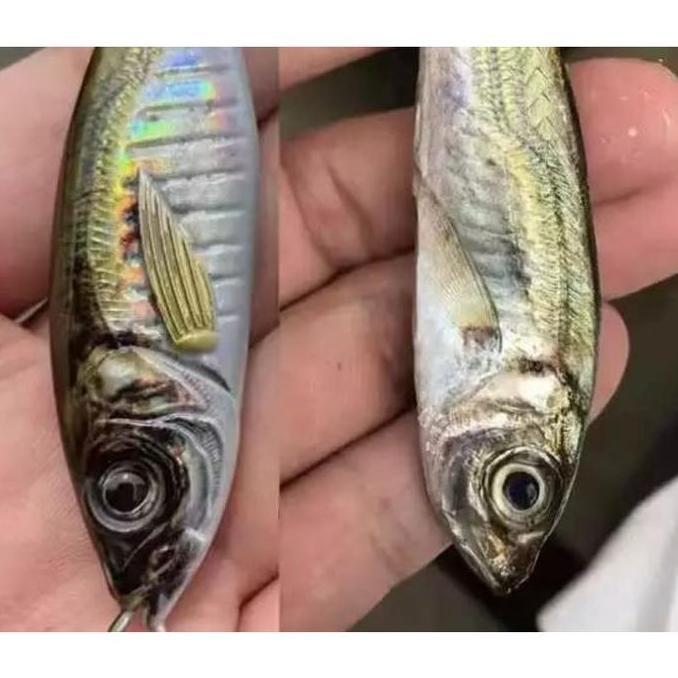 Aquasite Metal Jig Bionik Mirip Ikan Asli Lure GID Super Realistik Untuk Angler Sejati