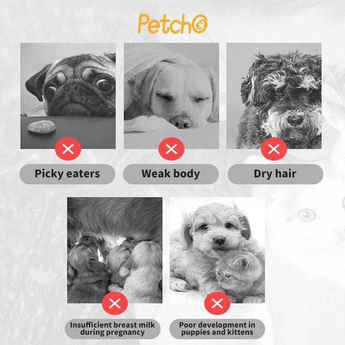 Kittycute- Purrito Pasta Vitamin Kucing Anjing 10G Malt Anti Hairball Dan Multivitamin Suplemen Kuci