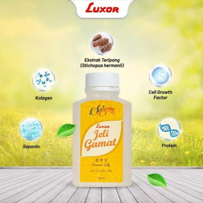 Higher- Luxor Jelly Gamat Luxor Jeli Jelli Gamat 350Ml