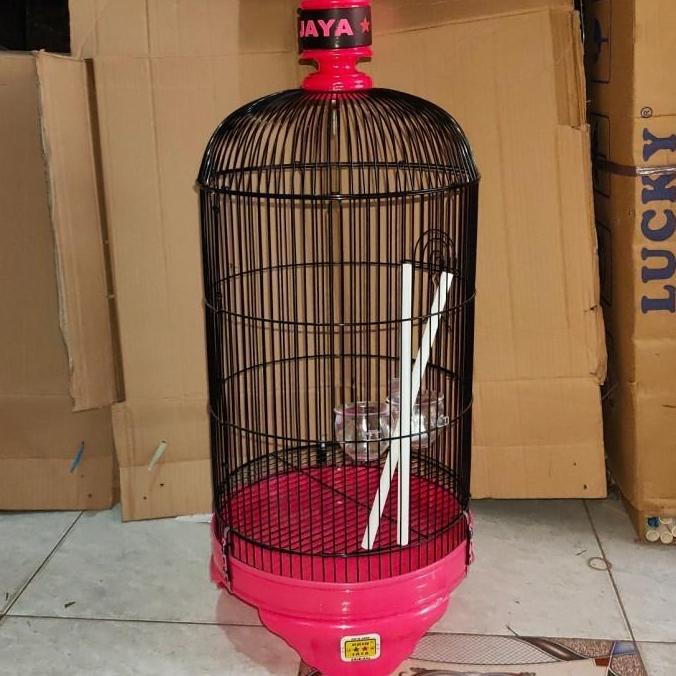NEW SANGKAR LOVEBIRD ORIQ JAYA MURMER ORI