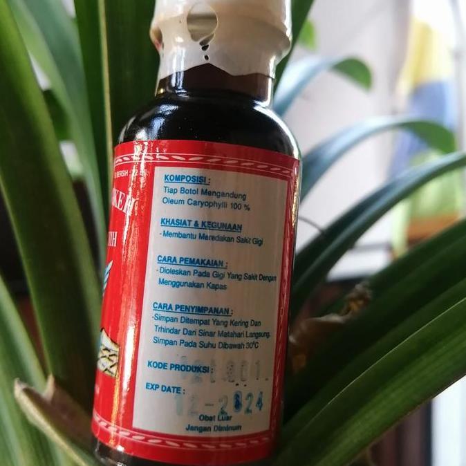 Point- Minyak Cengkeh 22 Ml Cap Merpati Putih (Dari Ambon)