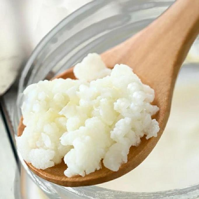 Gyunyu- Grain Kefir / Bibit Kefir Susu /Kefir Grain 20Gr