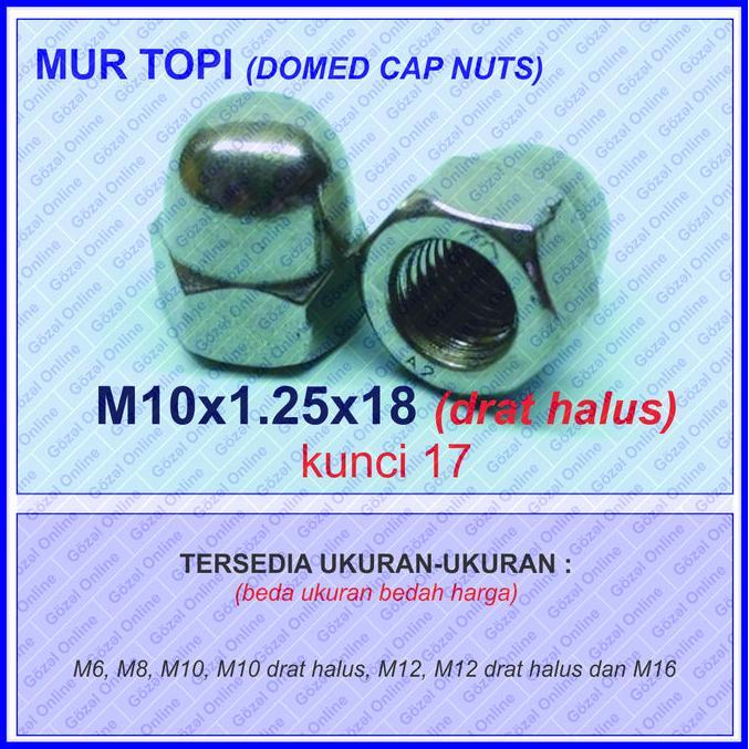 MUR TOPI SS304 - M10 X1.25MM DRAT HALUS KUNCI 17 - STAINLESS STEEL 304 TERBATAS