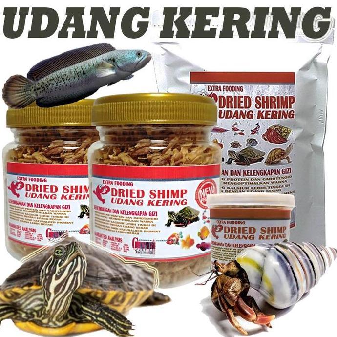 DRY SHRIMP UDANG KERING PAKAN REPTILE KURA AIR BRAZIL IKAN KEONG KELOMANG TURTLE FOOD BRAZIL RES MAK
