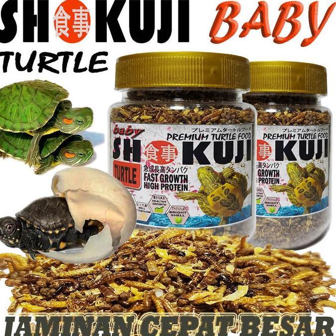 SHOKUJI TURTLE BABY FOOD PAKAN PELET RES BRAZIL ALIGATOR KURAKURA AMBON DAMER MONBI PIPUT TURTLES MA