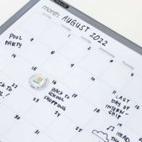 Bazic - Magnetic Whiteboard 6021 Week, 6013 Polos / Papan Tulis Magnetik Bazic 6021 Bazic 6013