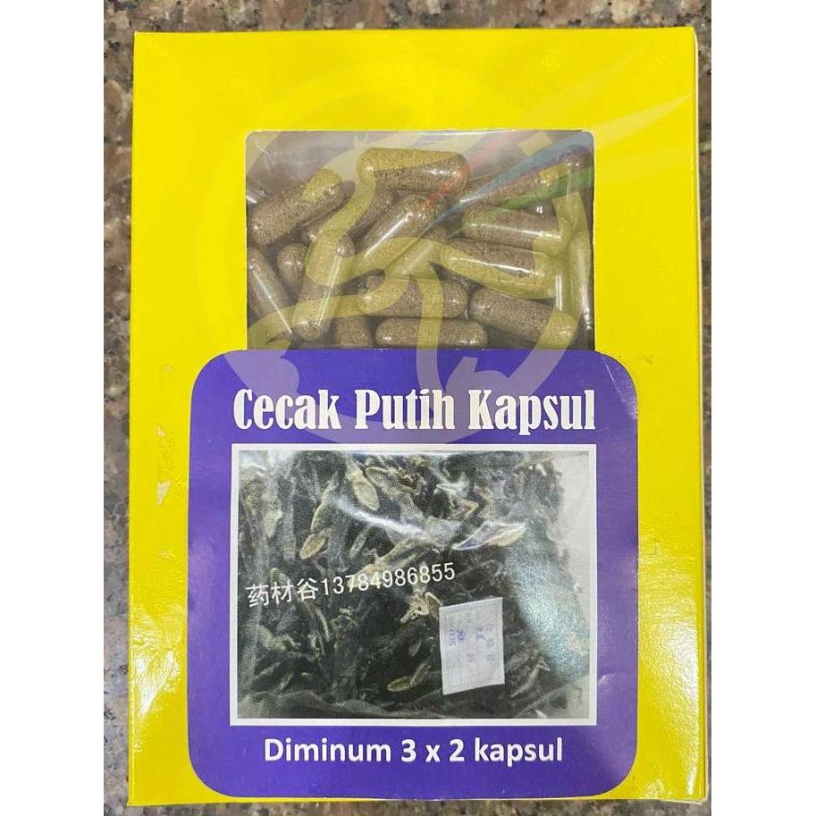 Obat Herbal Cecak Putih Kapsul - Cicak Cecek Cicek Capsule Tumor