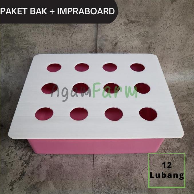 Handx- Paket Bak Impraboard - 12 Lubang Tanam