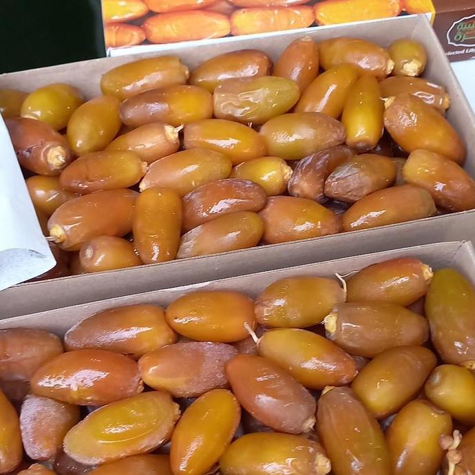 kurma Ruthob libya 1 kg/ kurma Ruthob libya/kurma muda SS