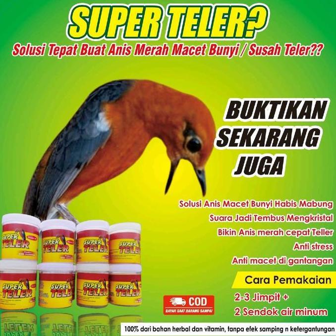 Vitamin burung Anis merah,  super teler ampuh mengatasi Anis merah macet bunyi