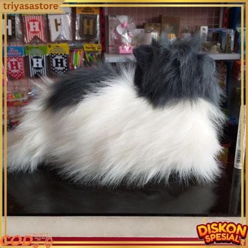 Boneka Kucing Persia Anggora Free Sisir Stok Tersedia