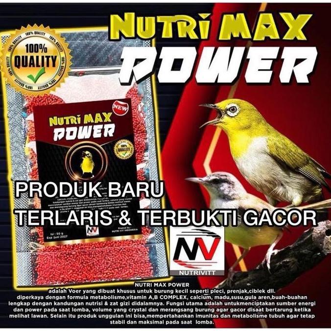 Voer Nutri Max Pakan Burung Pleci By Penggacor Seketika Allshop