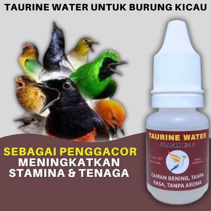 Taurine Water Juragan Kicau Sebagai Penggacor Semua Jenis Burung Allshop