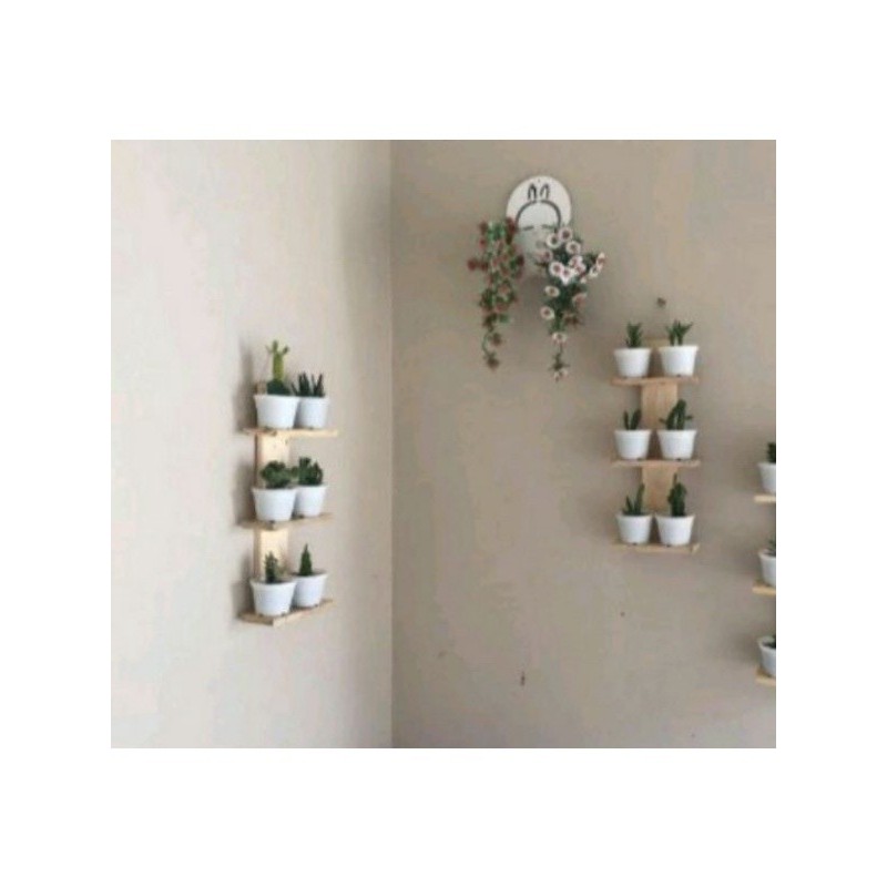 RAK KAKTUS MINIMALIS/RAK POT HIAS MINI  model AESTHETIK