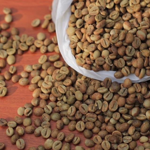 Green Bean Robusta Lampung Natural Process Supplier