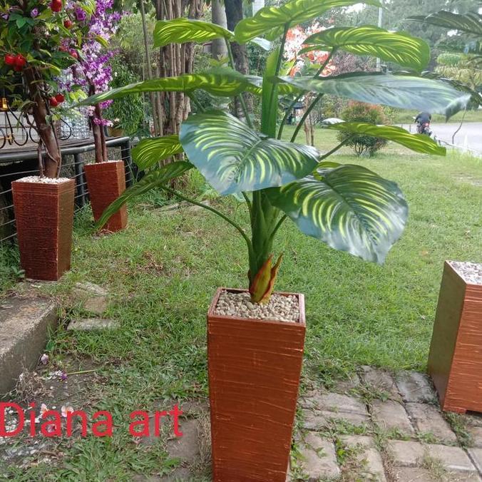 monstera latex#monstera hias#keladi latex/bunga palsu/bunga plastik