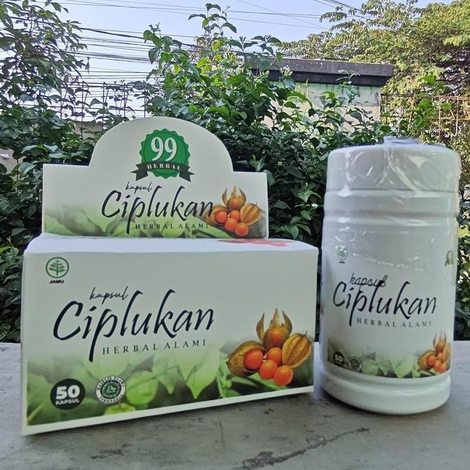 Youyou- Ciplukan Obat Stroke Ampuh Terbukti Herbal Suplemen Untuk Terapi Saraf Dan Otak Isi 50 Kapsu