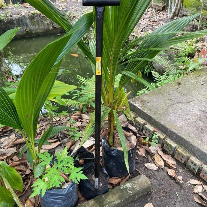 TOJOK PIPA TEBAL / TOJOK SAWIT SIAP PAKAI / MATA TOJOK ASLI BAJA