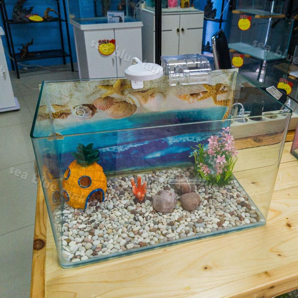 SBT AQUARIUM PAKET 35CM / AQUARIUM MELENGKUNG / AQUASCAPE / AQUARIUM BENDING