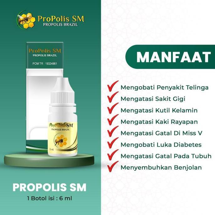 Higher- Propolis Sm Brazil Ekstrak Propolis Brazilian