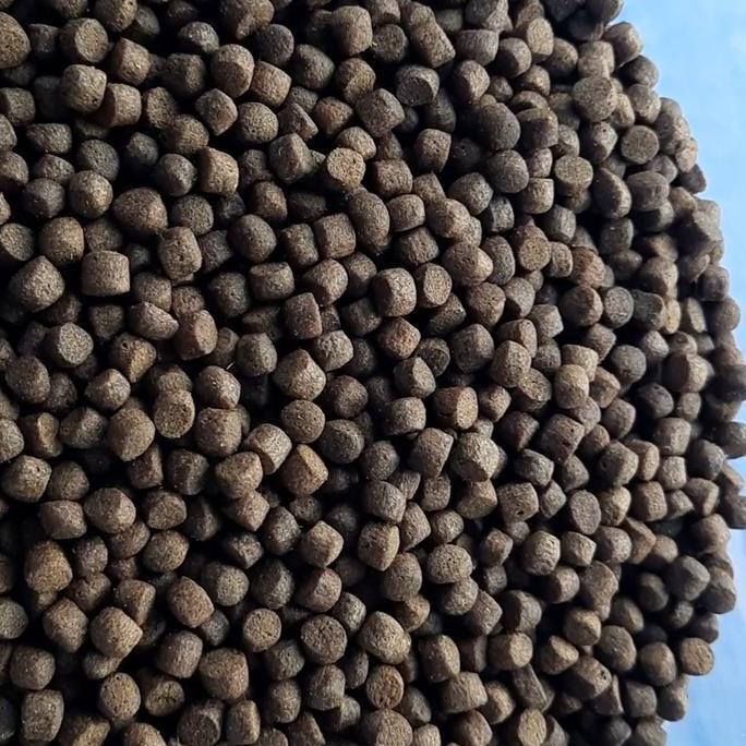 Pakan Pelet Apung STP KAE (20Kg)
