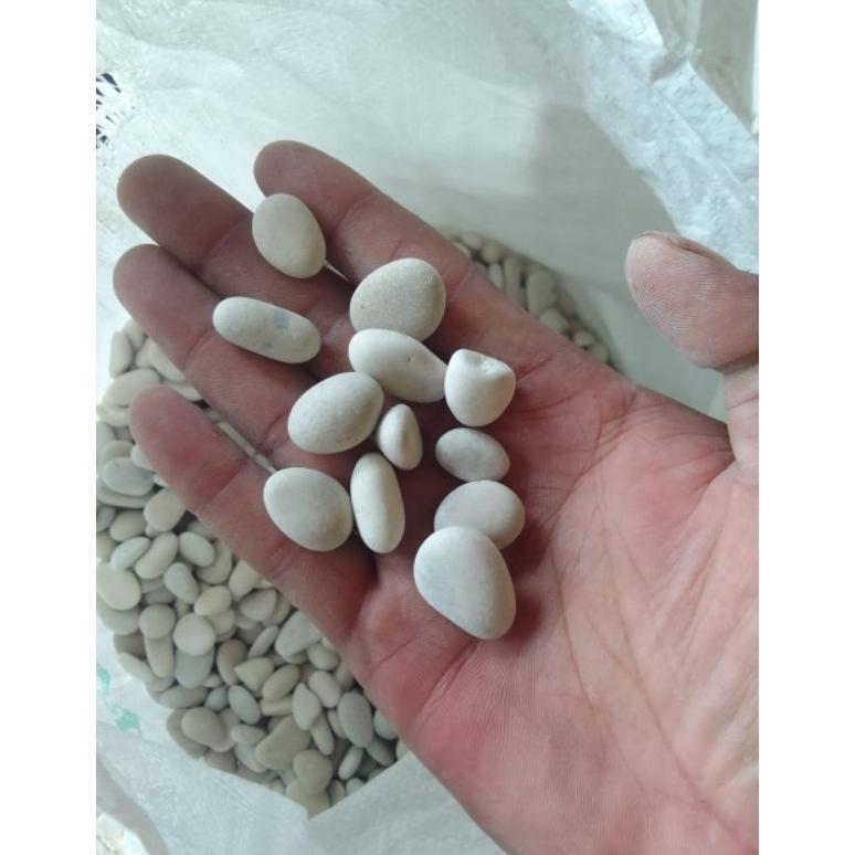 NEW 1kg batu putih kupang/Batu koral putih/batu taman/Batu hias coral putih paling kecil 1 kg /Batu 