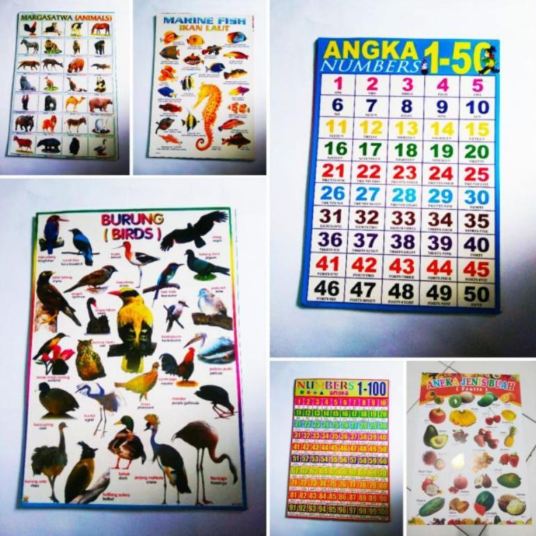 LIMITED POSTER ANAK,POSTER EDUKASIH,POSTER ANAK, POSTER EDUKASI PENGENALAN HURUF BERHITUNG TEMPELAN 
