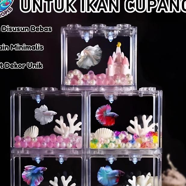 Aquarium Set Lengkap Ikan Cupang Aquarium Cupang Estetik Aquarium Akrilik Aquascape Mini Siap Pakai