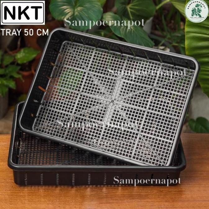 Tray pot untuk semai bibit hidroponik 50cm - TRAY POT NKT 50CM
