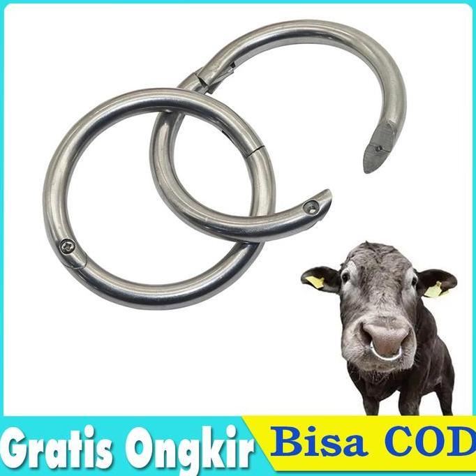SWALLOWTAIL Nose Ring Cincin Anting Hidung Sapi Kerbau Stainless Steel Bull Ring