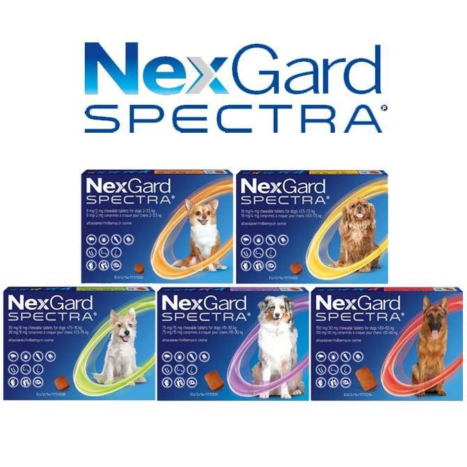 Nexgard Dog Obat Kutu Anjing Nexgard Dog Obat Demodex Anjing