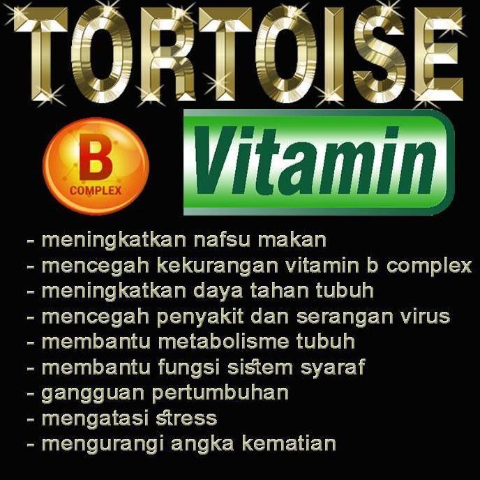 TORTOISE VITAMIN BUBUK KAPSUL MULTIVITAMIN SUPLEMEN KESEHATAN KURA-KURA DARAT TORTO MENCEGAH PENYAKI