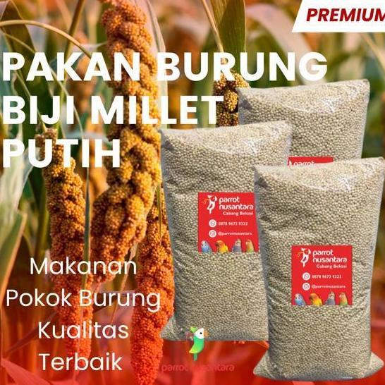 Pakan Millet 1Kg Murah