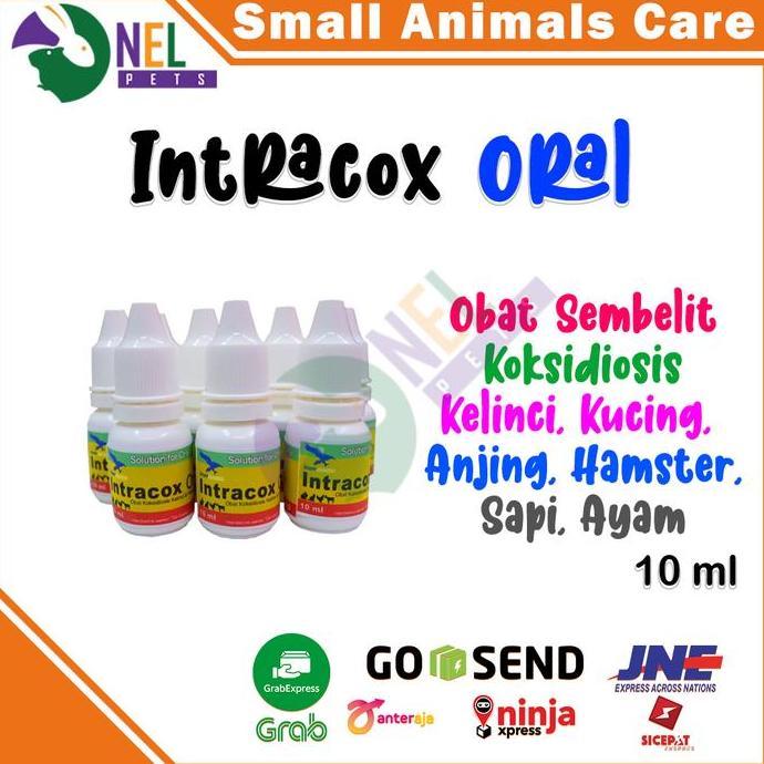 INTRACOX ORAL 10 ML OBAT SEMBELIT KOKSIDIOSIS KELINCI KUCING AYAM SAPI BEST PRODUK