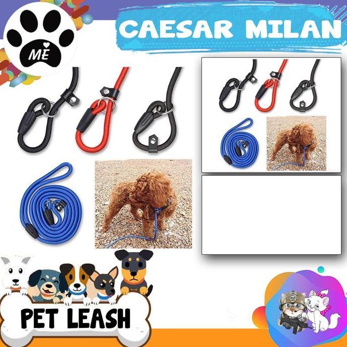 Kickbit- Tali Tuntun Anjing Cesar Milan " Large " Tali Tuntun Pelatih