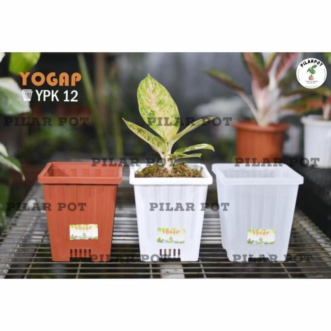 POT BUNGA TANAMAN TINGGI YOGAP KOTAK 12 PUTIH - YOGAP YPK 12 PUTIH