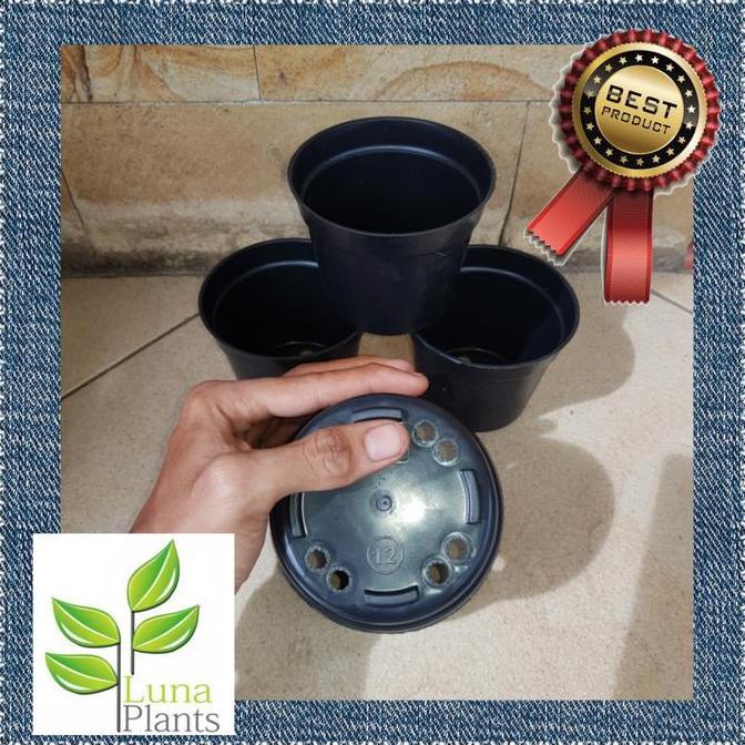 Pot tanaman hias 12pcs ukuran 12 - pot tanaman