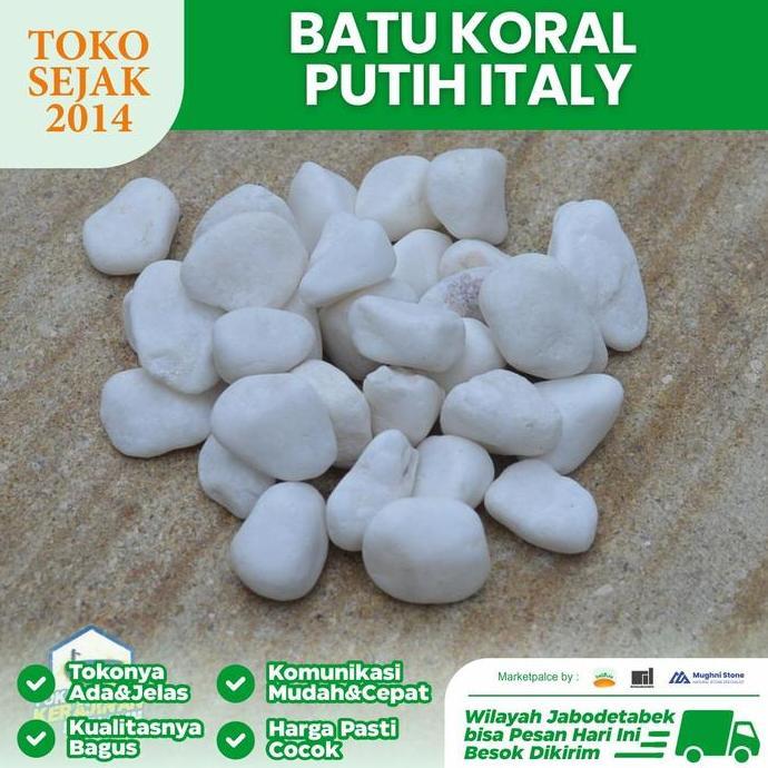Batu Koral Putih Italy Bagus untuk Taman dan Aquarium Batu Hias Putih Aksesoris Rumah Nuansa Putih B