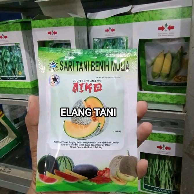 Best Seller Benih Bibit Melon Aiko F1 500 Butir, Tipe Jumbo, Tahan Virus Kriting Daun Dan Kuning Dau