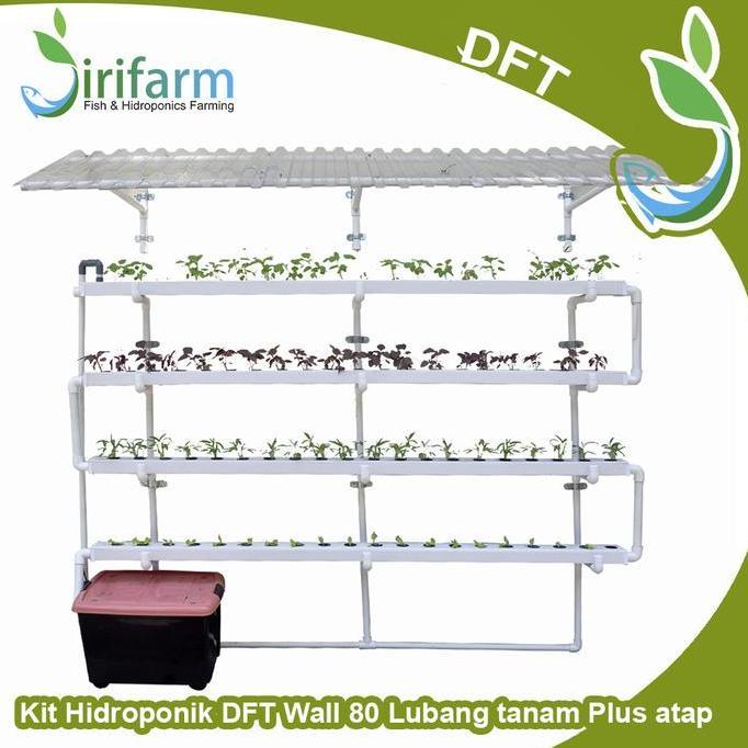 Paket Tanam Dinding Hidroponik DFT WALL 2 meter 80 Lubang Plus Atap