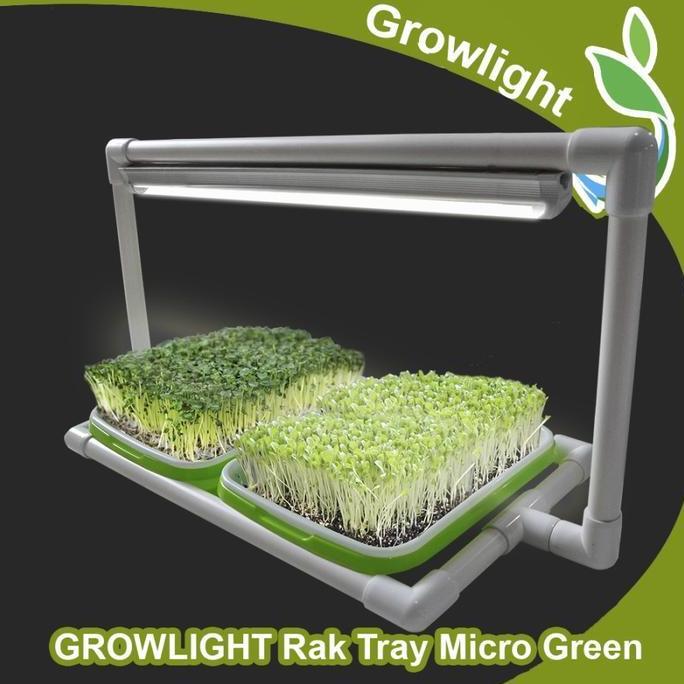 Mini Kit GROWLIGHT TRAY MICROGREENS 2 Tray