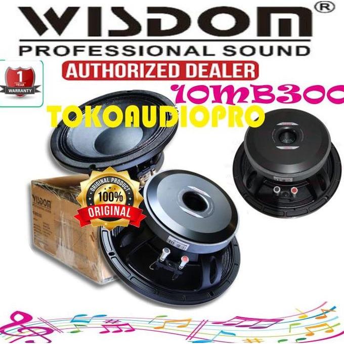 Wisdom 10MB300 Component Speaker 10 Inch Original Wisdom
