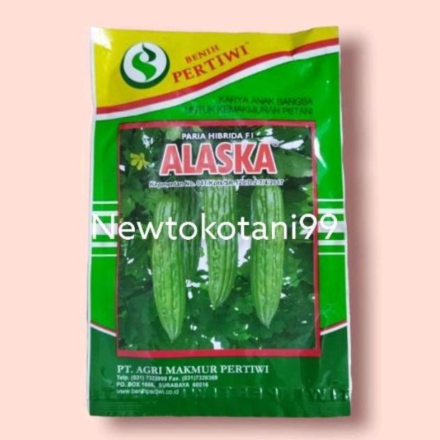 Pirc- Benih Paria Alaska F1 10 Gram Pare Hibrida Alaska Dari Benih Pertiwi