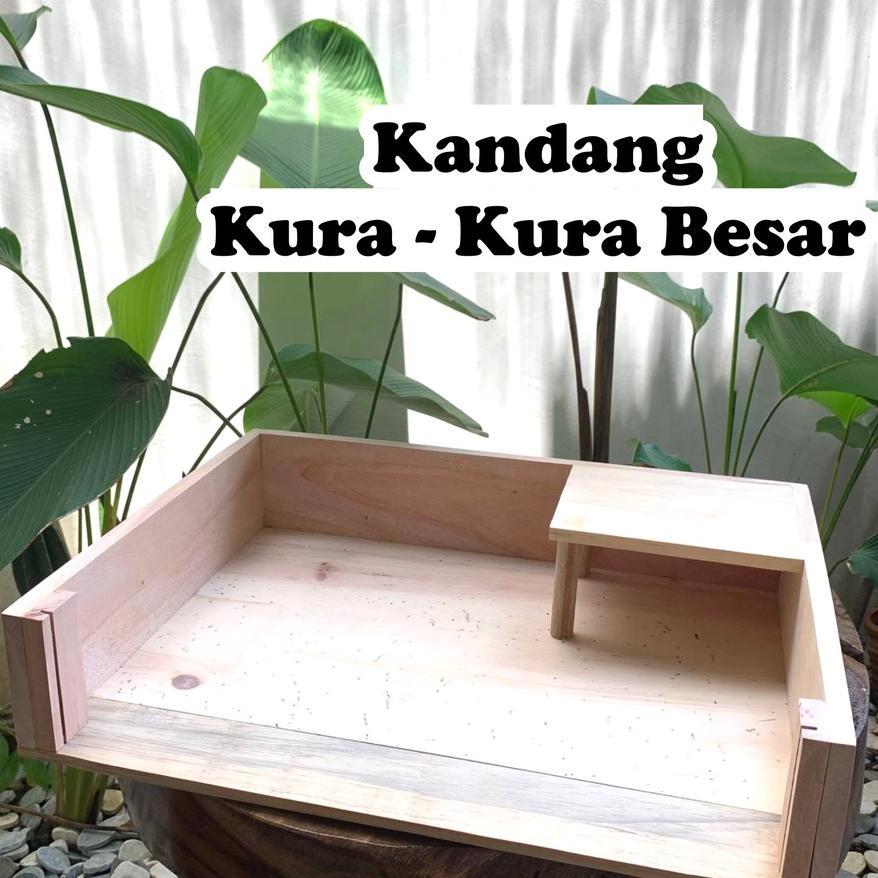 Kandang Kura Kura Besar Kandang Sulcata Kandang Reptil Rumah Hewan Peliharaan