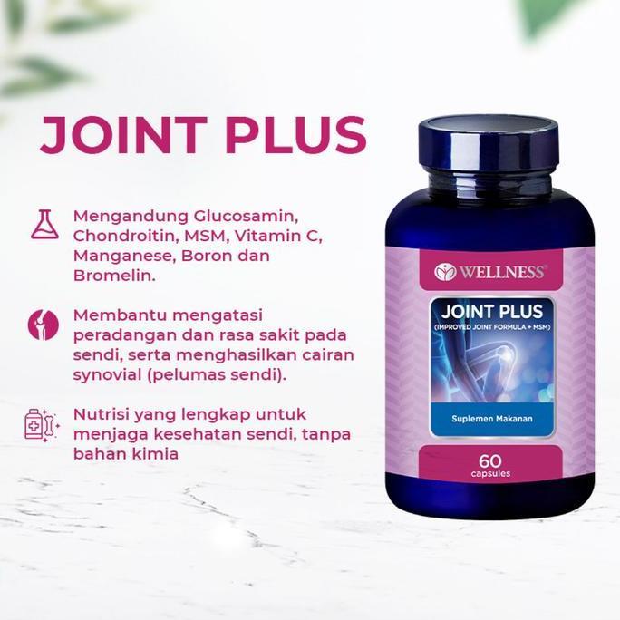 Fit- Wellness Joint Plus 60 Capsules