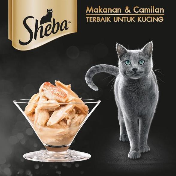 SHEBA POUCH BELI LANGSUNG 1 DUS | Sheba Pouch isi 24 Wet Food