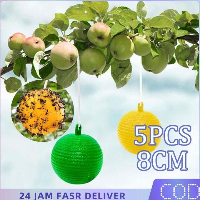 ADX 5pcs Lalat Buah Perangkap Bulat Perangkap Lalat Buah