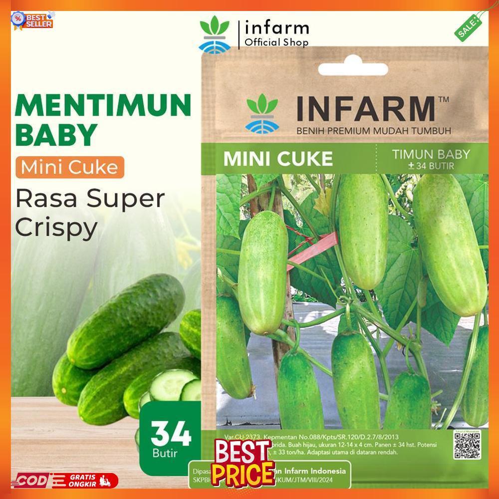 INFARM - Benih Mentimum Mini Cuke Mentimun Baby Benih Mentimun Super Bibit Timun Mini F1 Premium CD 